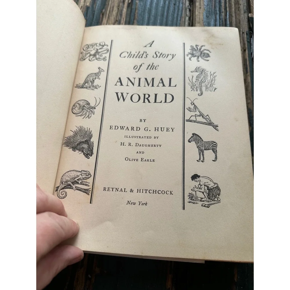 A‎ Child's Story of the Animal World 1936 Edward G Huey Vintage Hardcover Book